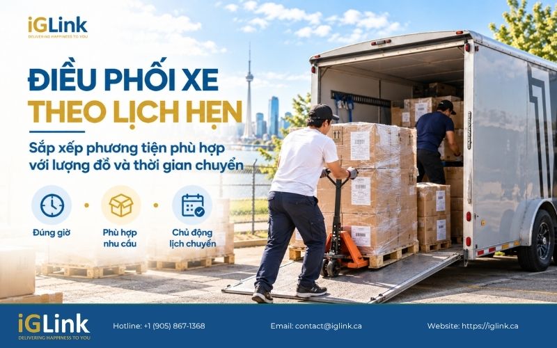 iGLink sẽ sắp xếp phương tiện phù hợp với nhu cầu thực tế của khách hàng