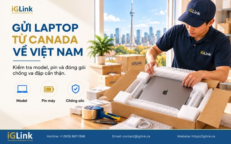 Laptop là một trong những nhóm thiết bị điện tử iGLink hỗ trợ kiểm tra và tiếp nhận