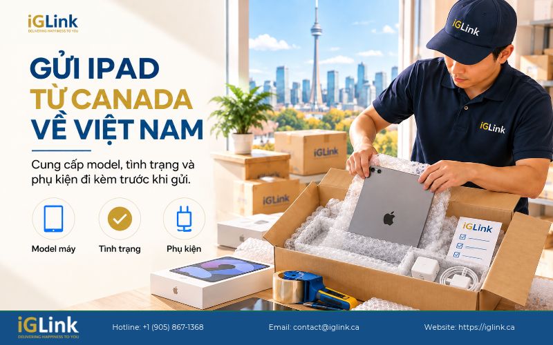 iGLink có thể tiếp nhận các dòng iPad của Apple