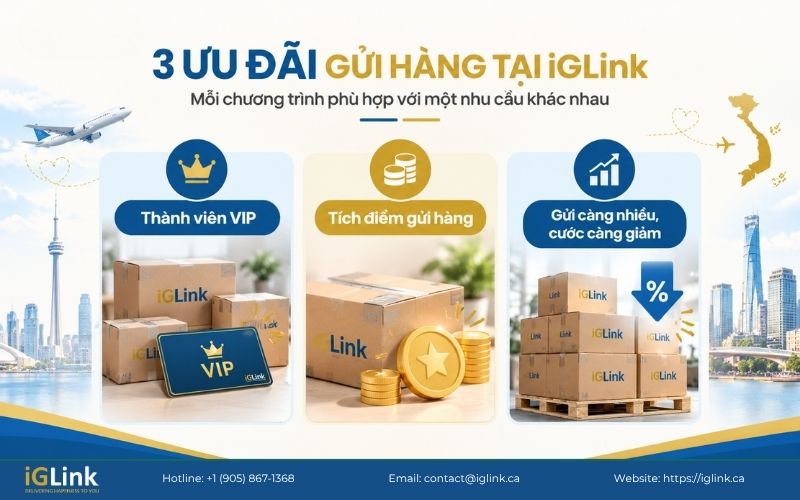 Ba hình thức ưu đãi gửi hàng Canada về Việt Nam để cân nhắc