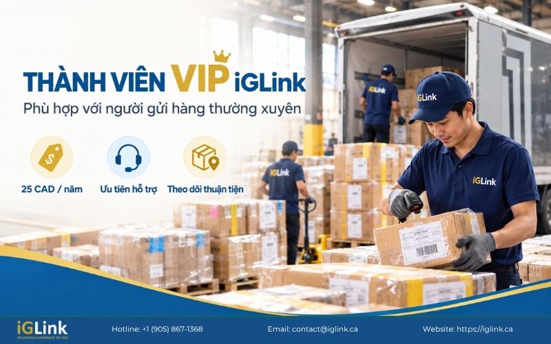 Quyền lợi VIP khi gửi hàng thường xuyên qua iGLink