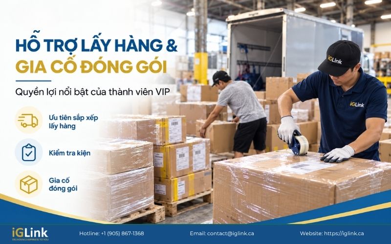 Ưu tiên kiểm tra và gia cố đóng gói trong chương trình VIP