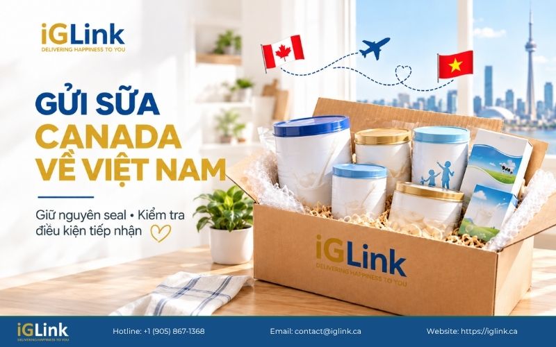 Gửi sữa Canada về Việt Nam cần kiểm tra loại sữa và thành phần